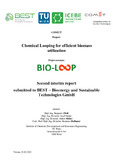 Fleiss-2022-Second interim report submitted to BEST Bioenergy and Sustai...-smur.pdf.jpg