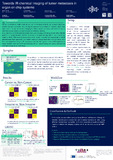 Hondl-2023-Towards IR chemical imaging of tumor metastasis in organ on ch...-vor.pdf.jpg