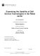 Voelkl Albrecht - 2024 - Examining the Usability of Self Service Technologies in...pdf.jpg