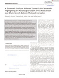Fantoni-2024-Macromolecular Rapid Communications-vor.pdf.jpg