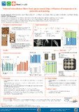 Hofbauer-2024-Tailored holocellulose fibers from spruce wood chips Influe...-vor.pdf.jpg