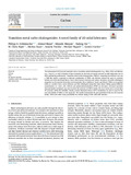 Gruetzmacher-2025-Carbon-vor.pdf.jpg