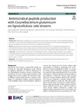 Waldschitz-2024-BIOTECHNOLOGY FOR BIOFUELS AND BIOPRODUCTS-vor.pdf.jpg