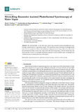 Kotlyar-2024-Sensors-vor.pdf.jpg