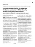 Ricchiuti-2024-Nanophotonics-vor.pdf.jpg