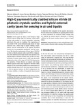 Iadanza-2022-Nanophotonics-vor.pdf.jpg
