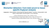 Ret-2024-Biomarker detection from total serum to tissue specific N-glycan...-vor.pdf.jpg
