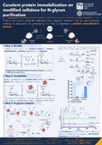 Jakovic-2024-Covalent protein immobilization on modified cellulose for N-...-vor.pdf.jpg