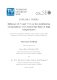 Scholz Florentine - 2025 - Influence of Si and Y SZ on the stabilization of...pdf.jpg