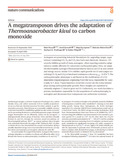 Hocq-2025-Nature Communications-vor.pdf.jpg