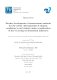 Kerschbaumer Florian - 2025 - Further development of measurement methods for the...pdf.jpg