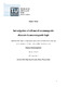 Reichenpfader Manuel - 2019 - Investigation of advanced nanomagnetic elements in...pdf.jpg