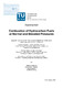 Innerkofler Mathias Sebastian - 2018 - Combustion of hydrocarbon fuels at normal...pdf.jpg