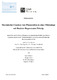 Thermisches Cracken von Pflanzenoelen in einer Pilotanlage mit Reaktor-Regenerator-Prinzip.pdf.jpg