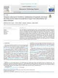 Serna Loaiza-2021-Bioresource Technology Reports-vor.pdf.jpg